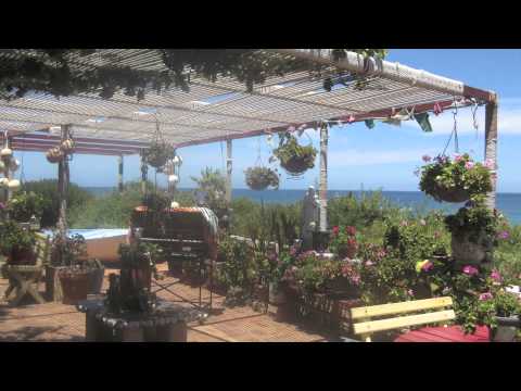 Kavisha Mazzella Calming melody -Concetta's Tune