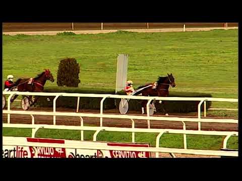 rm 20211211 02 p pigmeomo