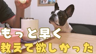 卵に釘付けなフレブル🤭