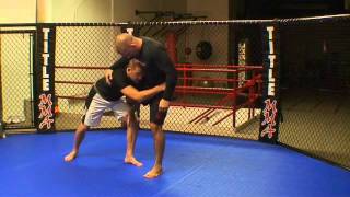 Travis Lutter- Muay Thai Kick Take-Down