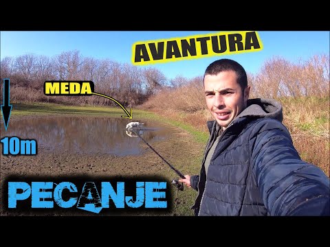 AVANTURA SA MEDOM - PEŠKE 4 KM KROZ ŠUME 😱😂😎 (DULE MENADZER)