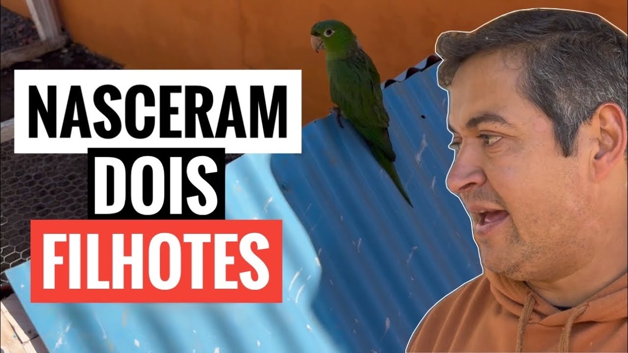 MAIS UM NASCIMENTO NO SÍTIO. SÓ BENÇÃO