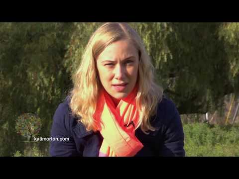 PTSD – Eating Disorders and Self-Harm – Kati Morton, Healthy Mind, Healthy Body! PTSD – Eating Disorders and Self-Harm – Kati Morton, Healthy Mind, Healthy Body!