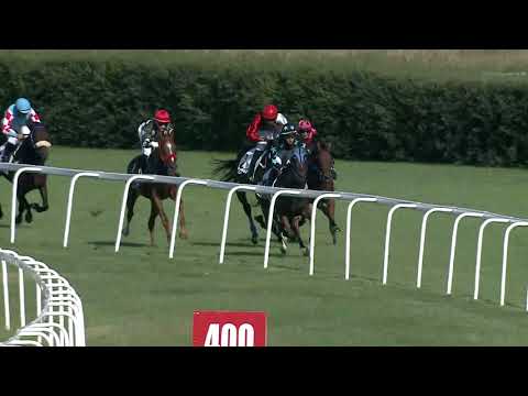 2019.08.04. 03. futam - NYERETLEN KÉTÉVESEK VERSENYE (IV.kat.)