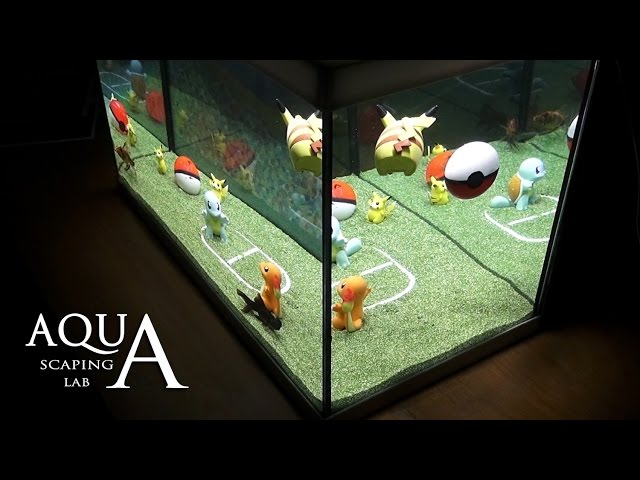 POKEMON GO AQUARIUM Charmander vs Squirtle vs Pikachu BY Aquascaping Lab