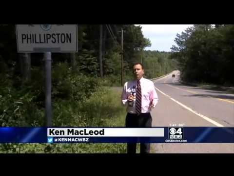 MA Town Worker Fired For Saving Kitty In Another Town