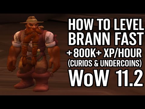 Level Brann SCHNELL – 800.000+ XP/Stunde Farmen (WoW 11.2) – HOTFIX