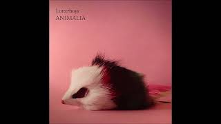 Lotterboys – Heroine