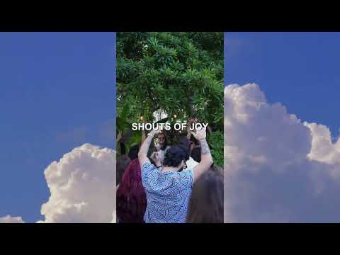 Lincoln Jesser, Harvest - Shouts of Joy | 528 Hz | Heart Opening | Healing House (Visualizer)