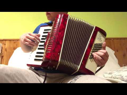 Helena Vondráčkova - Dlouhá noc ( akordeon cover )