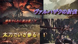 【MHW】ヴァルハザク　太刀ソロ