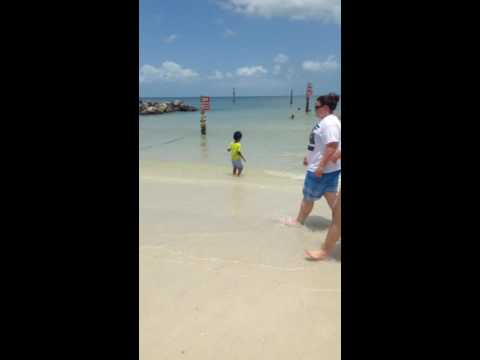 Aashrith@tampa clear water beach