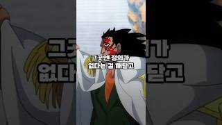 혁명군 드래곤의 출신 공개 [원피스 1097화]