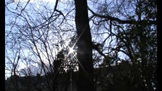 *M83 - Skin Of The Night