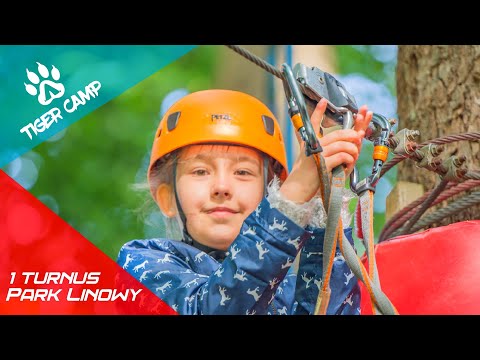 Park Linowy / 1 turnus / Wicie 2020 / TigerCamp