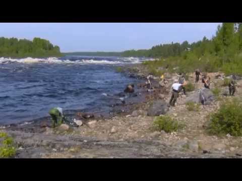 Tornionjoki Matkakoski 12.6 kg 06.06.2014