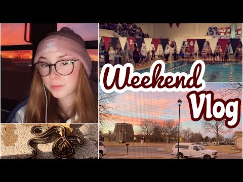 SCHLANGE im Garten & Schwimmwettkampf | Wochenend VLOG | Auslandsjahr USA 2021/22 || Celina Exner