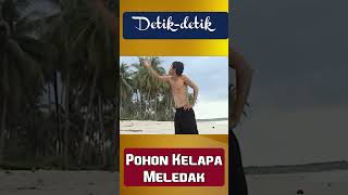 Download lagu Detik detik pohon kelapa meledak mp3