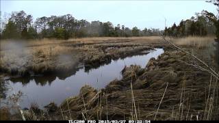 preview picture of video 'Grassle Marsh Timelapse'