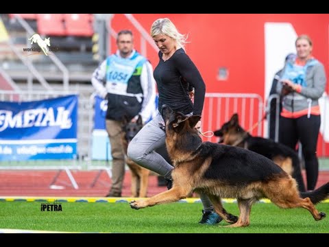 #bszs2022 - Classe travaille Mâles - Working Class Male