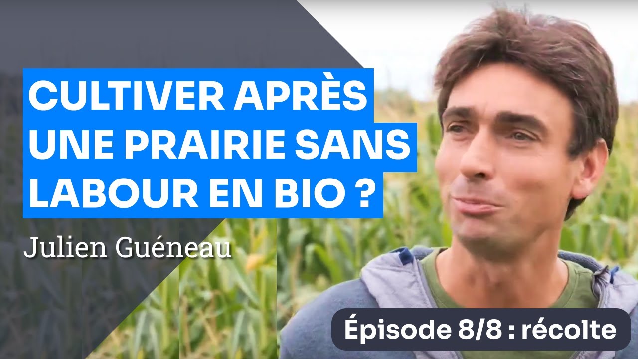 Épisode 8 : La récolte du maïs - Implanter une culture en Bio sans labour après prairie