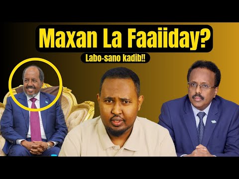 Maxa laga faaiiday dibu-doorashadii Madaxwayne Hassan sheikh?