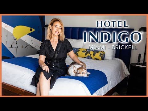 邁阿密佈裡克爾英迪格酒店--佛羅里達州邁阿密的完美酒店 (Hotel Indigo Miami Brickell - Perfect Hotel in Miami, Florida)