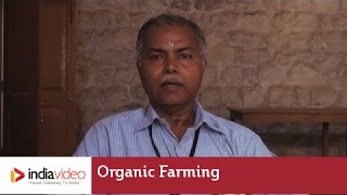 Importance of Organic Farming