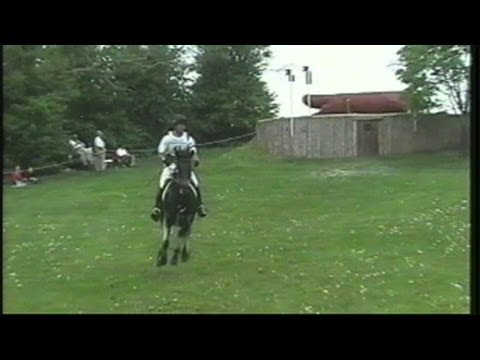 Report: Chiacchia has fungal meningitis