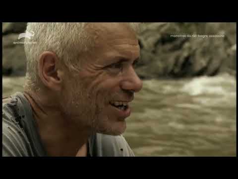 Jeremy Wade - Bagre Assassino - Primeiro Episódio