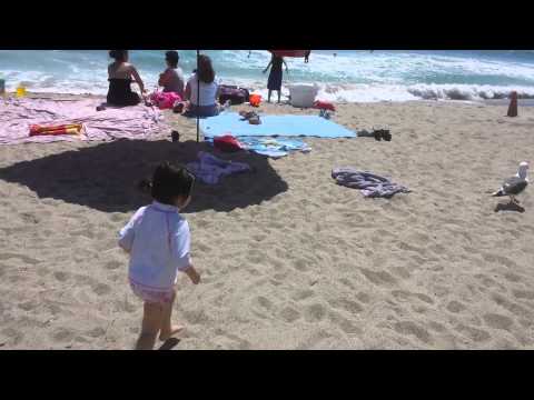 Zeydi Victoria Serna Gadea