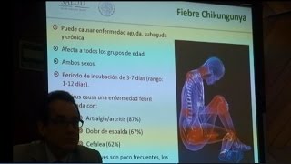 México registra 303 casos de chikunguña en lo que va del año