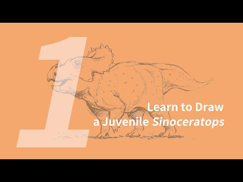 A-Qi the Juvenile Sinoceratops 1: Learn to Draw a Juvenile Sinoceratops