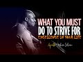 WHAT YOU MUST DO TO STRIVE FOR EXCELLENCE IN YOUR LIFE - Apostle Joshua Selman