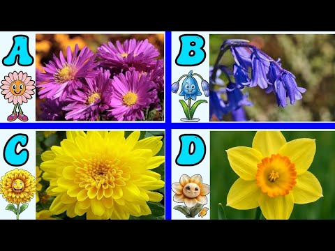 Flower Name In Alphabet Letter English And Hindi. फूलों के नाम अंग्रेजी और हिंदी में।