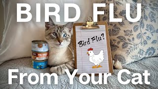 BIRD FLU and your CAT! Stay safe from Avian Influenza & cat-transmittable disease