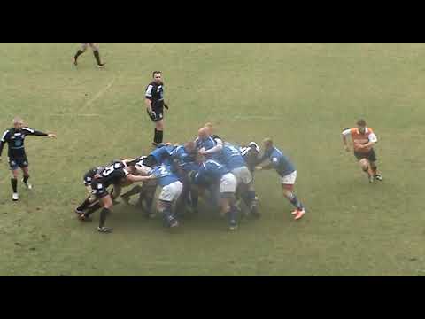 Pogoń Siedlce - Budowlani Rugby SA 12:25