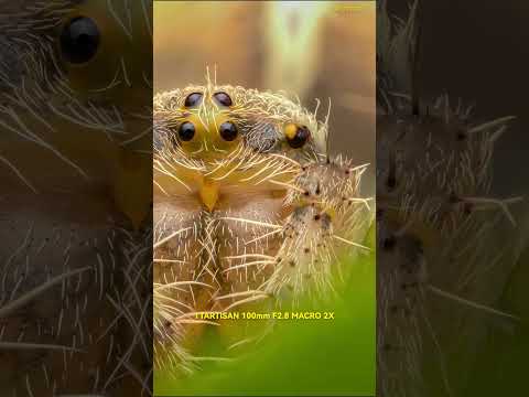 Video 2