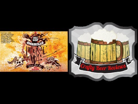 Flying Dog Amarillo Imperial IPA (Single Hop Series) | Crafty Beer Reviews: Ep. #252