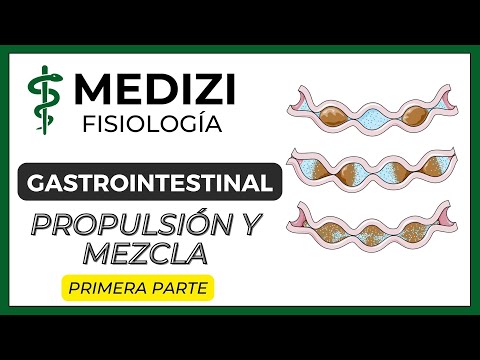 Class 45 Gastrointestinal Physiology - Propulsion and Mixing Part 1 (1/2) (IG:@doctor.paiva)
