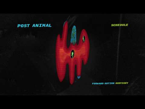 Post Animal - Forward Motion Godyssey [FULL ALBUM STREAM]