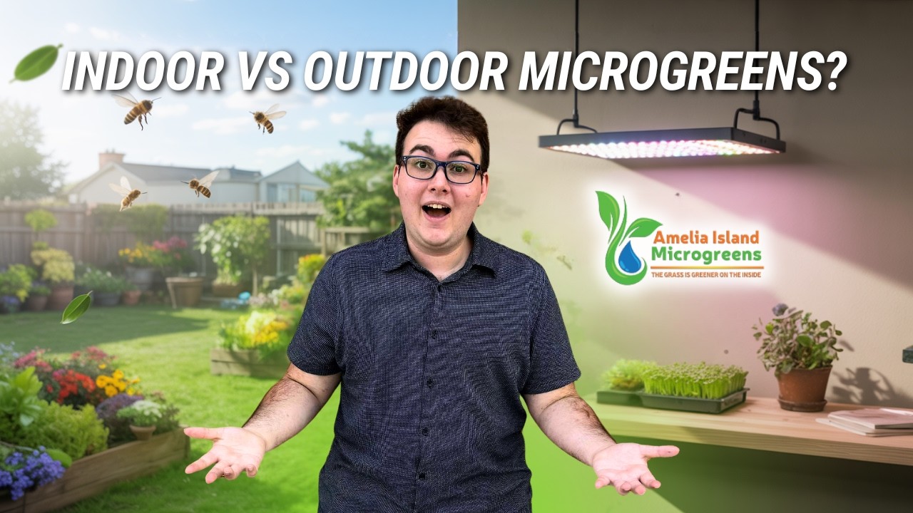 ⚠️ Indoor vs Outdoor Microgreens: AVOID This Dirty Mistake Most Beginners Make!
