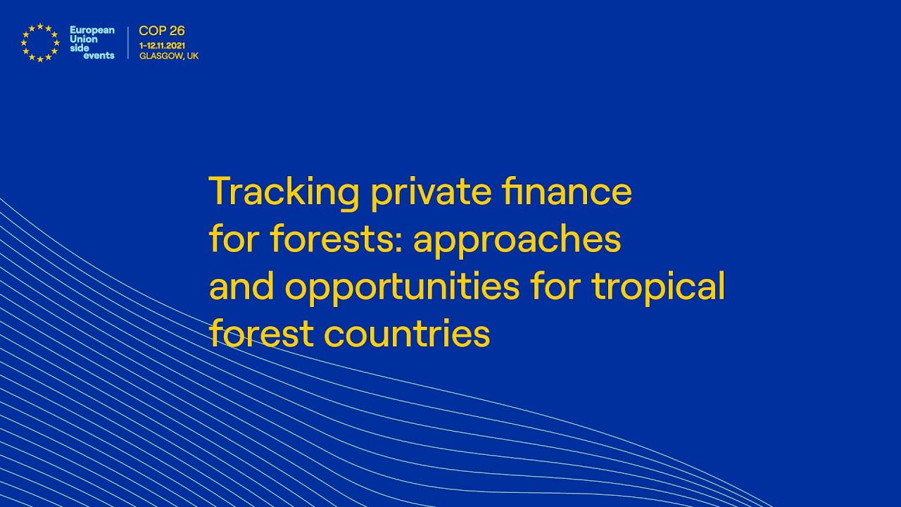 Tracking private finance for forests: approaches and opportunities for tropical forest countries