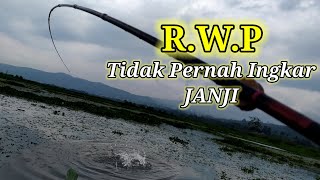 Download lagu MEMANCING IKAN ~ RAWA PENING TAK PERNAH INGKAR JANJI.! LUMUT 4 KANTONG LUDEESSS mp3 Download lagu MEMANCING IKAN ~ RAWA PENING TAK PERNAH INGKAR JANJI.! LUMUT 4 KANTONG LUDEESSS mp3