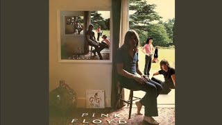 Pink Floyd - Several Species of Small Furry Animals Gathered Together in a Cave – 4:59 Track 6