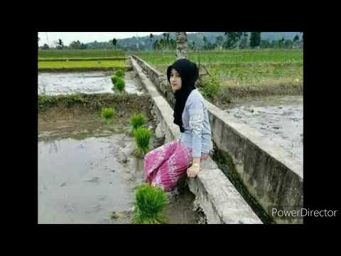 Anjeun ngejat #lagusundaterbaik #yanakermit