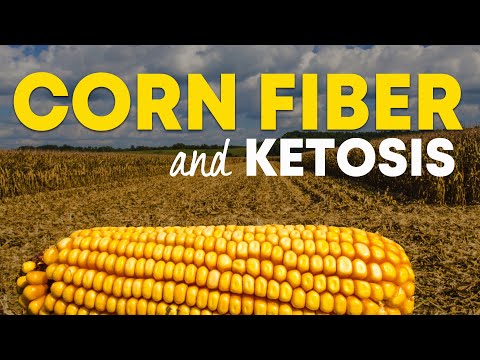 download lagu mp3 mp4 Corn Net, download lagu Corn Net gratis, unduh video klip Corn Net