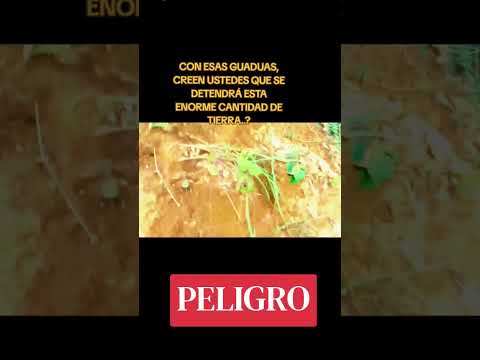 21 de junio de 2026