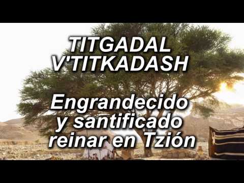 Mimkomcha   Rabbi Shlomo Carlebach