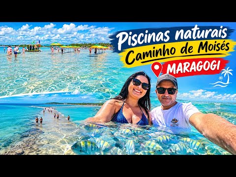 Passeio das Piscinas Naturais em Maragogi-AL #piscinasnaturais 